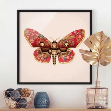 Poster con cornice - Vintage Moth - Quadrato 1:1