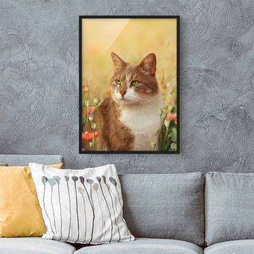 Poster con cornice - Cat In A Field Of Poppies - Verticale 4:3