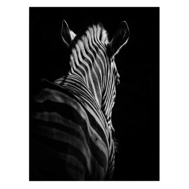 Stampa su tela - Scuro silhouette zebra - Verticale 3:4