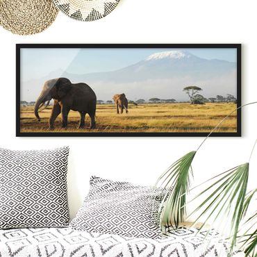 Poster con cornice - Elefanti Davanti Al Kilimanjaro In Kenya - Panorama formato orizzontale