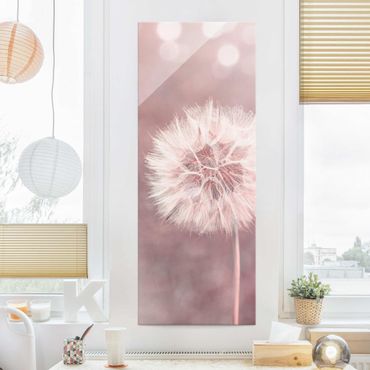 Quadro in vetro - Dandelion rosa bokeh - Pannello