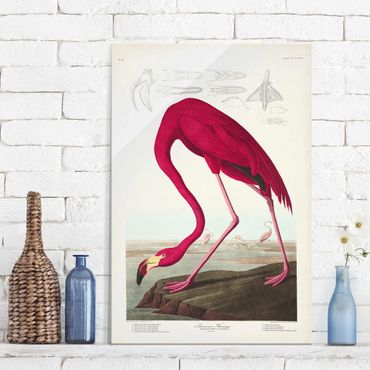 Quadro in vetro - Flamingo Consiglio American Vintage - Verticale 3:2