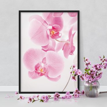 Poster con cornice - Delicate Orchids - Verticale 4:3