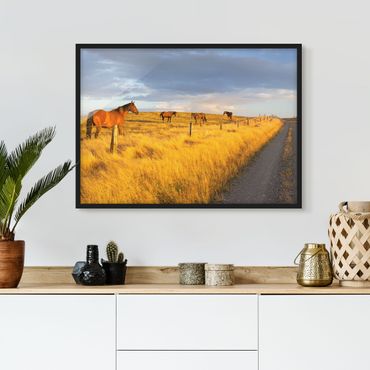 Poster con cornice - Field Road And Horse In Evening Sun - Orizzontale 3:4