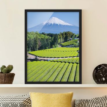 Poster con cornice - Tea Fields In Front Of The Fuji - Verticale 4:3