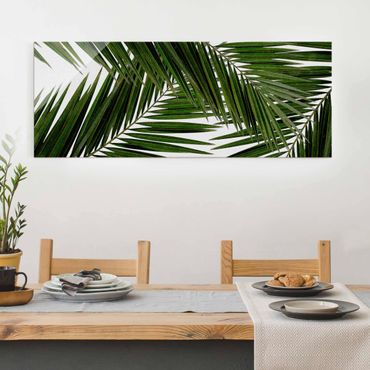 Quadro in vetro - Scorcio tra foglie di palme verdi