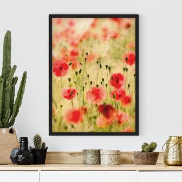 Poster con cornice - Summer Poppies - Verticale 4:3