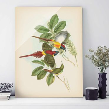 Quadro in vetro - Illustrazione Vintage Tropical Birds III - Verticale 4:3