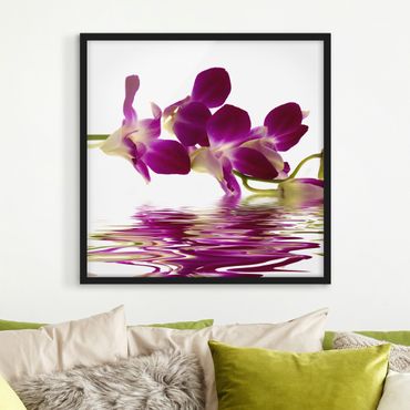 Poster con cornice - Pink Orchid Waters