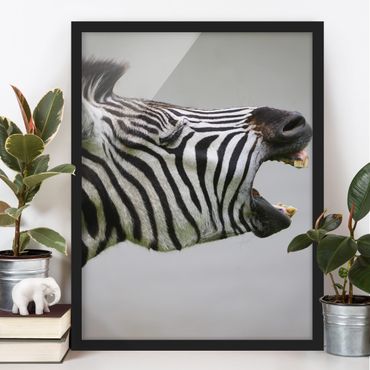 Poster con cornice - Rawling Zebra - Verticale 4:3