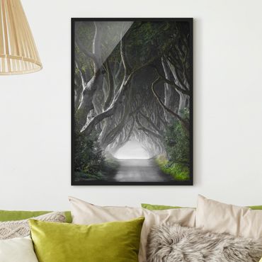 Poster con cornice - Forest In Northern Ireland - Verticale 4:3