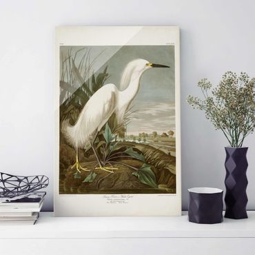 Quadro in vetro - Consiglio Vintage White Heron I - Verticale 3:2