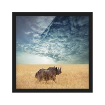 Poster con cornice - Rhino In The Savannah - Quadrato 1:1