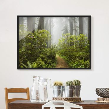 Poster con cornice - Misty Forest Path - Orizzontale 3:4