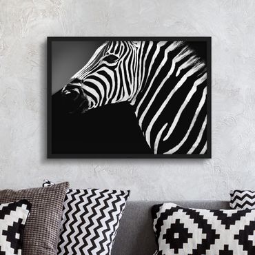 Poster con cornice - Zebra Safari Art - Orizzontale 3:4