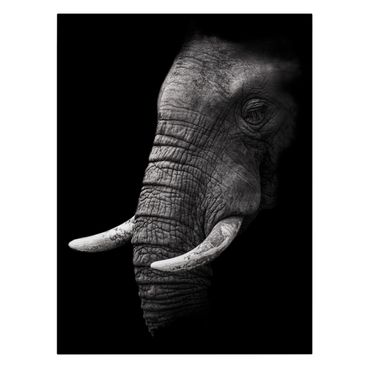 Stampa su tela - Scuro Elephant Portrait - Verticale 3:4