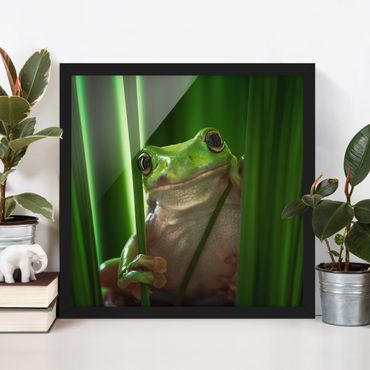 Poster con cornice - Happy Frog - Quadrato 1:1