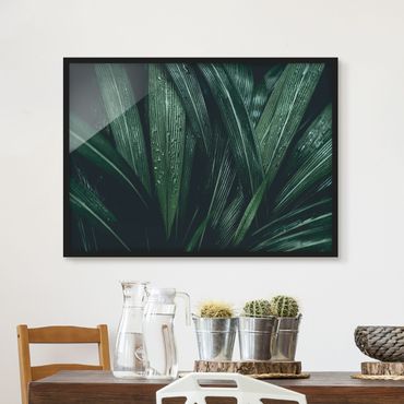 Poster con cornice - Green Palm Leaves - Orizzontale 3:4