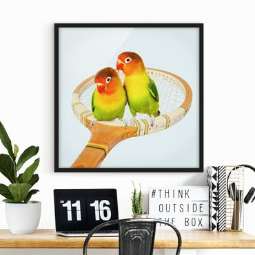 Poster con cornice - Tennis Con Uccelli - Quadrato 1:1