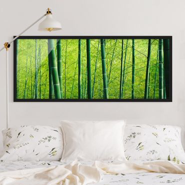 Poster con cornice - Foresta Di Bambù - Panorama formato orizzontale