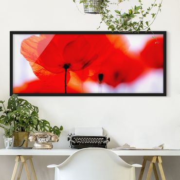 Poster con cornice - Magia Poppies - Panorama formato orizzontale