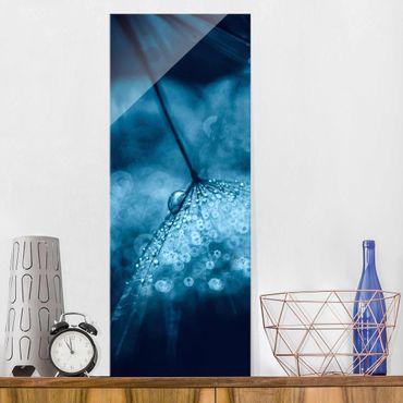 Quadro in vetro - Tarassaco Blu In The Rain - Pannello