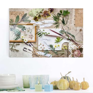 Quadro in vetro - Flowers And Garden Herbs Vintage - Orizzontale 3:2