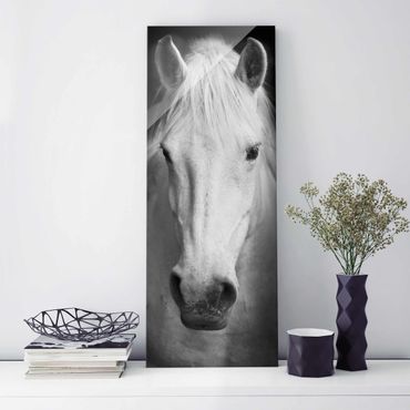Quadro in vetro - Dream of a Horse - Pannello