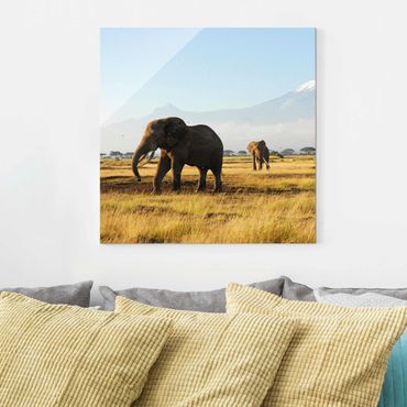 Quadro in vetro Africa - Elephants before Kilimanjaro in Kenya - Quadrato 1:1
