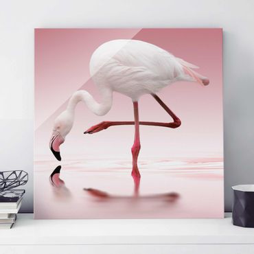 Quadro in vetro - Flamingo Dance - Quadrato 1:1