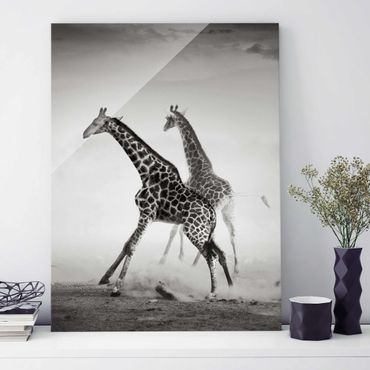 Quadro in vetro - Giraffe hunting - Verticale 3:4