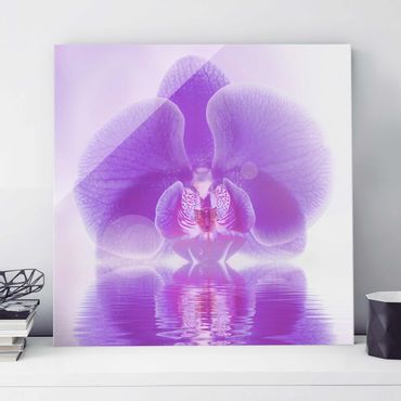 Quadro in vetro - Purple Orchid on water - Quadrato 1:1
