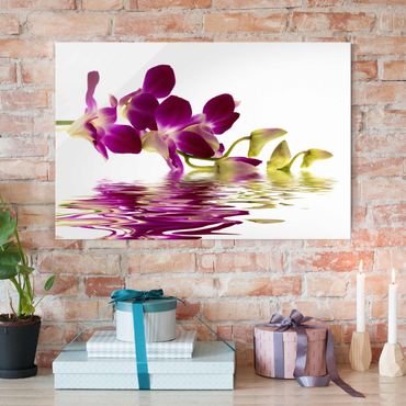 Quadro in vetro - Pink Orchid Waters - Orizzontale 3:2