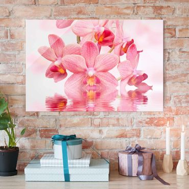 Quadro in vetro - Pink Orchid on water - Orizzontale 3:2