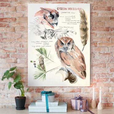 Quadro in vetro - Wilderness Journal - Owl - Verticale 3:4