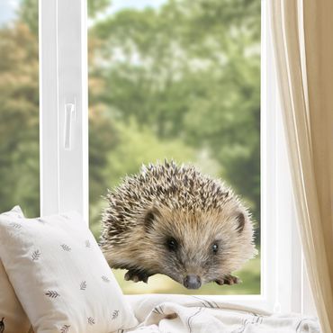 Adesivi da finestra No.156 Little Hedgehog