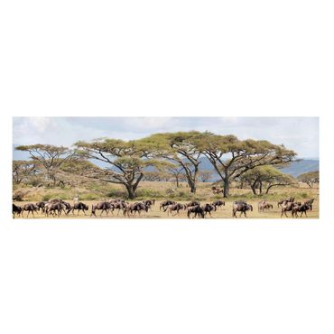 Stampa su tela - Herd Of Wildebeest In The Savannah - Panoramico