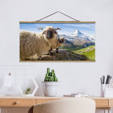 Foto su tessuto da parete con bastone - Pecore naso nero di Zermatt - Orizzontale 2:1