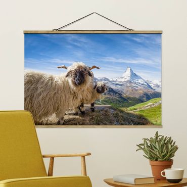 Foto su tessuto da parete con bastone - Pecore naso nero di Zermatt - Orizzontale 3:2