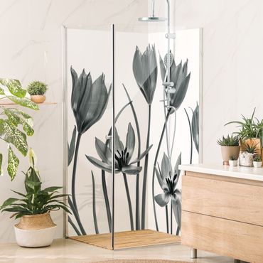 Rivestimento per doccia - Sette fioriture di tulipani in bianco e nero