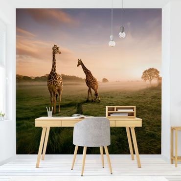 Carta da parati - Surreal Giraffes