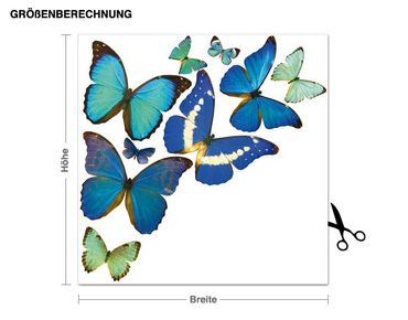 Adesivo murale - farfalle naturali