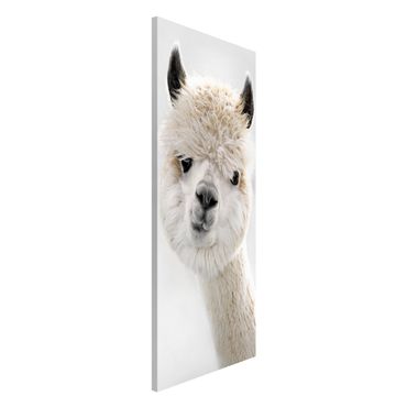 Lavagna magnetica - Ritratto di alpaca
