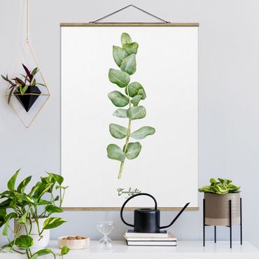 Foto su tessuto da parete con bastone - Acquerello Botanica Eucalyptus - Verticale 4:3