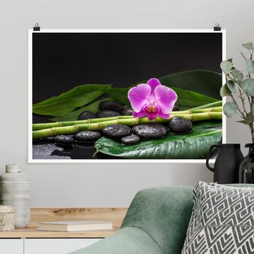 Poster - Green Bamboo Con L'orchidea Blossom - Orizzontale 2:3