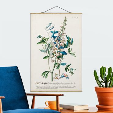 Foto su tessuto da parete con bastone - Vintage botanico Legumi Illustrazione - Verticale 3:2