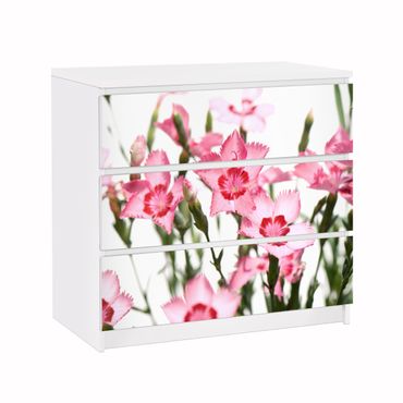Carta adesiva per mobili IKEA - Malm Cassettiera 3xCassetti - Pink Flowers