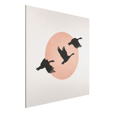 Aluminium Print - Vögel vor rosa Sonne III - Quadrat 1:1