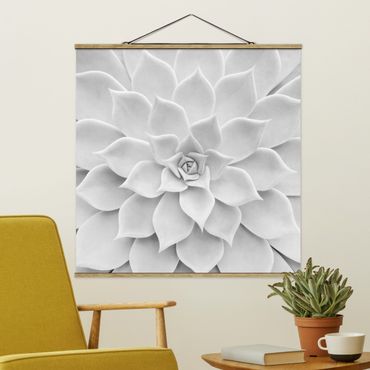 Quadro su tessuto con stecche per poster - Cactus Succulente - Quadrato 1:1