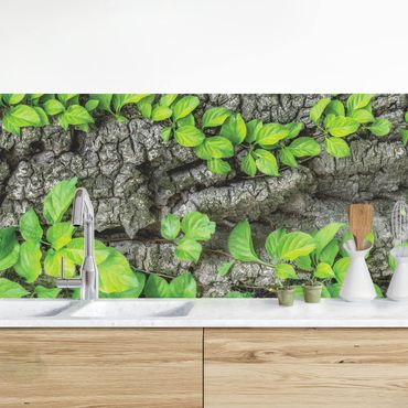 Rivestimento cucina - Corteccia D'Albero Ivy
